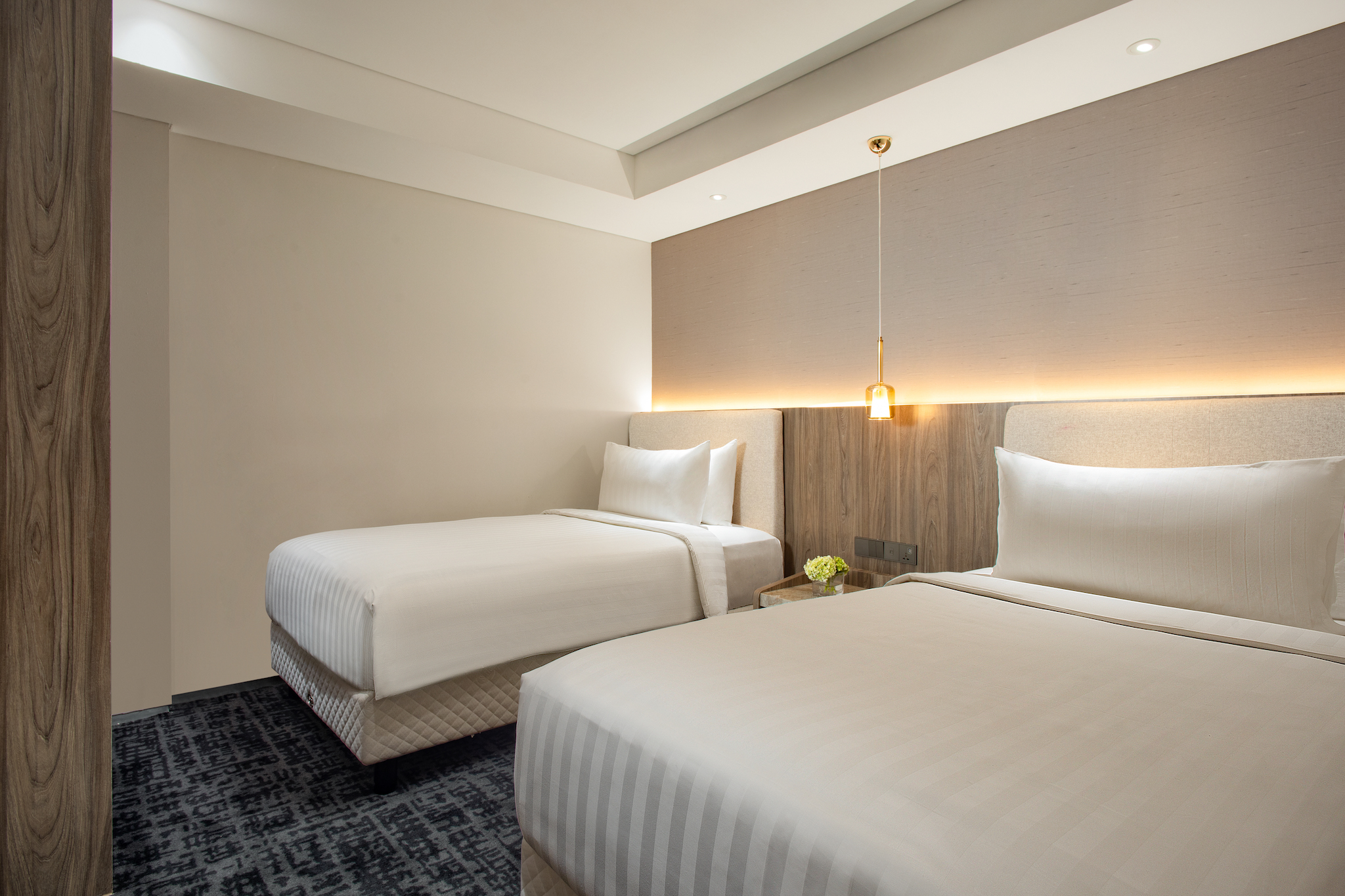 两卧室尊贵公寓