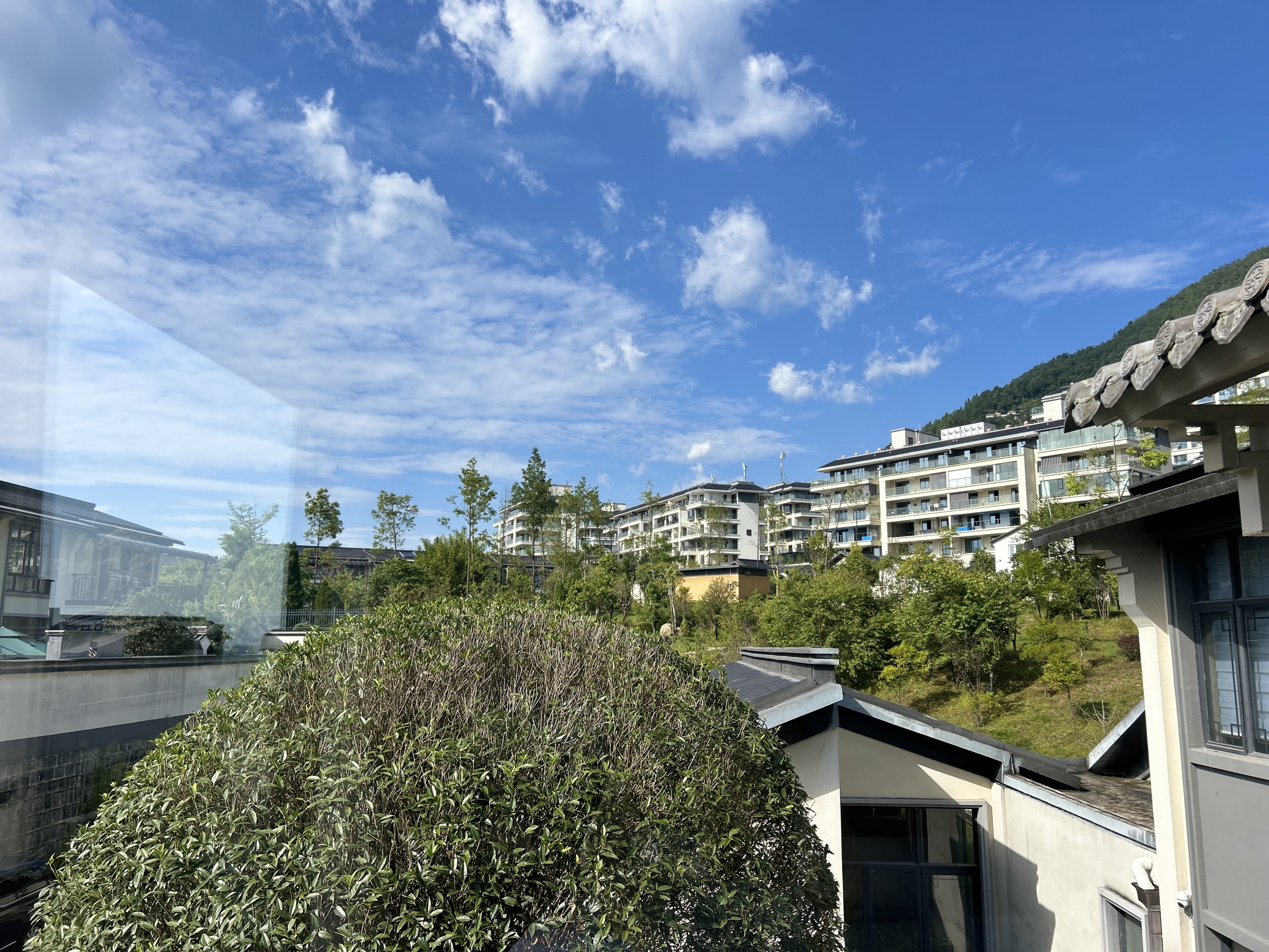 Hot Spring Room (King Bed)