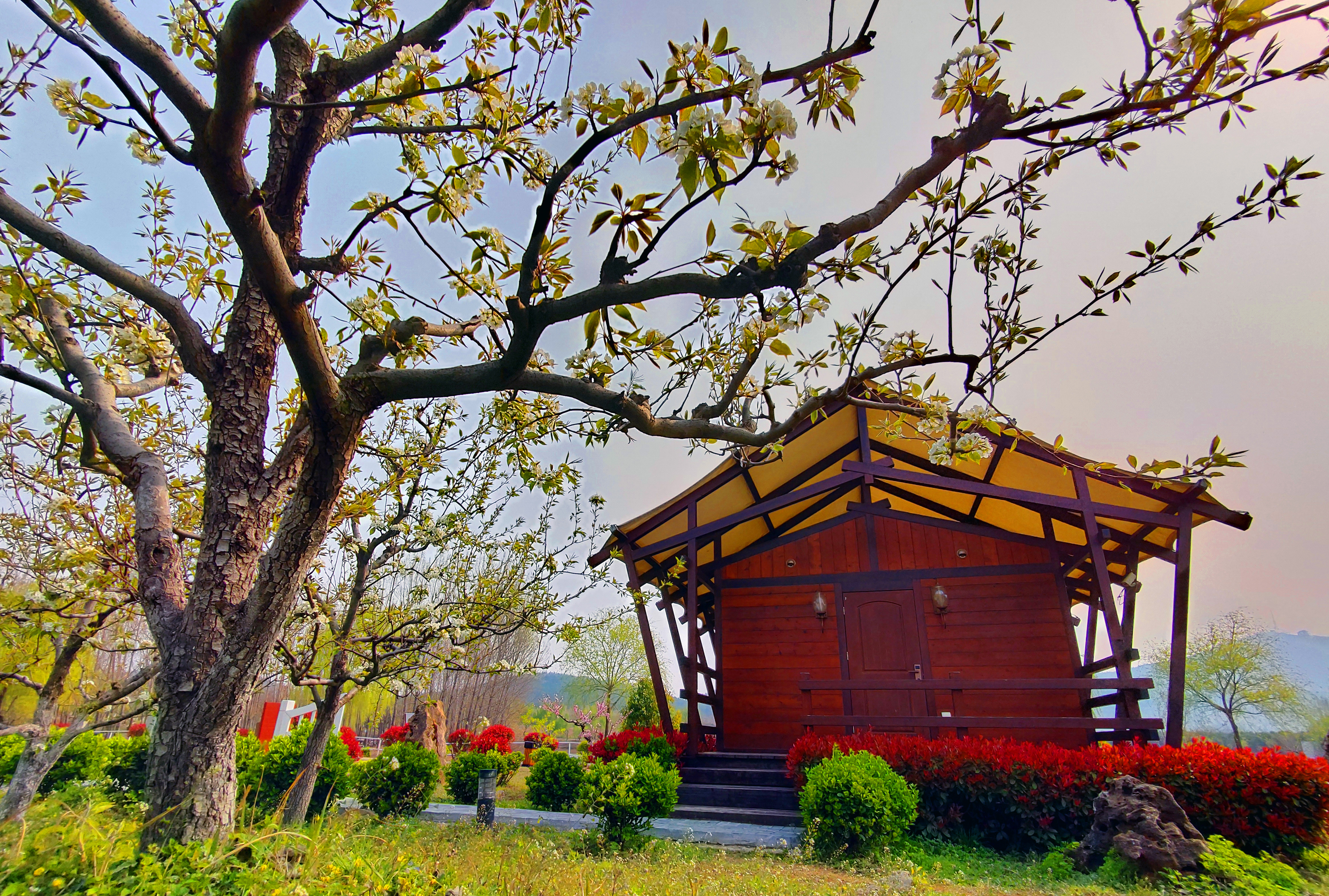 Fairy Tale Forest Deluxe Cabin - Lake-View (Double Bed)