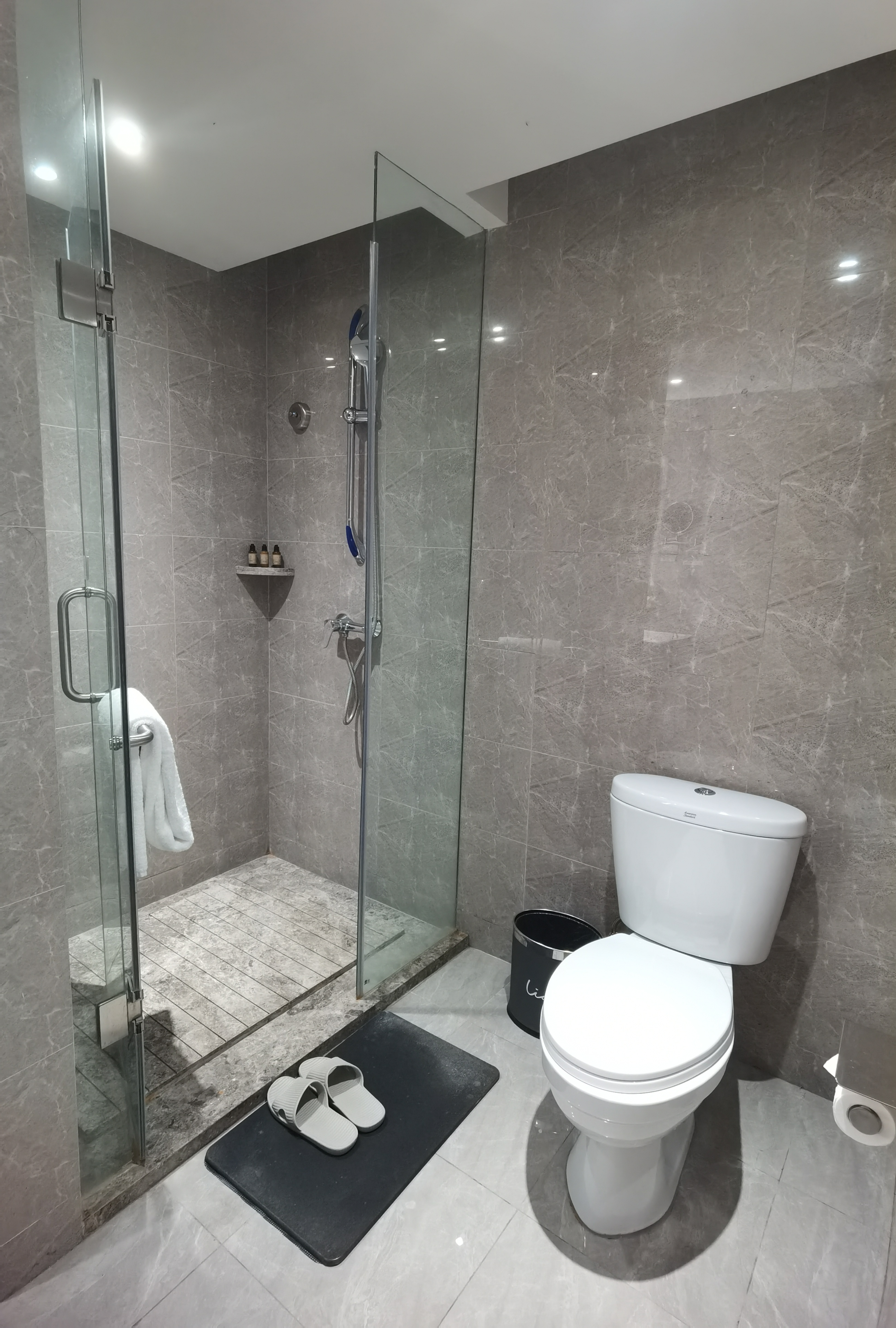 丽雅大床房（智能马桶）