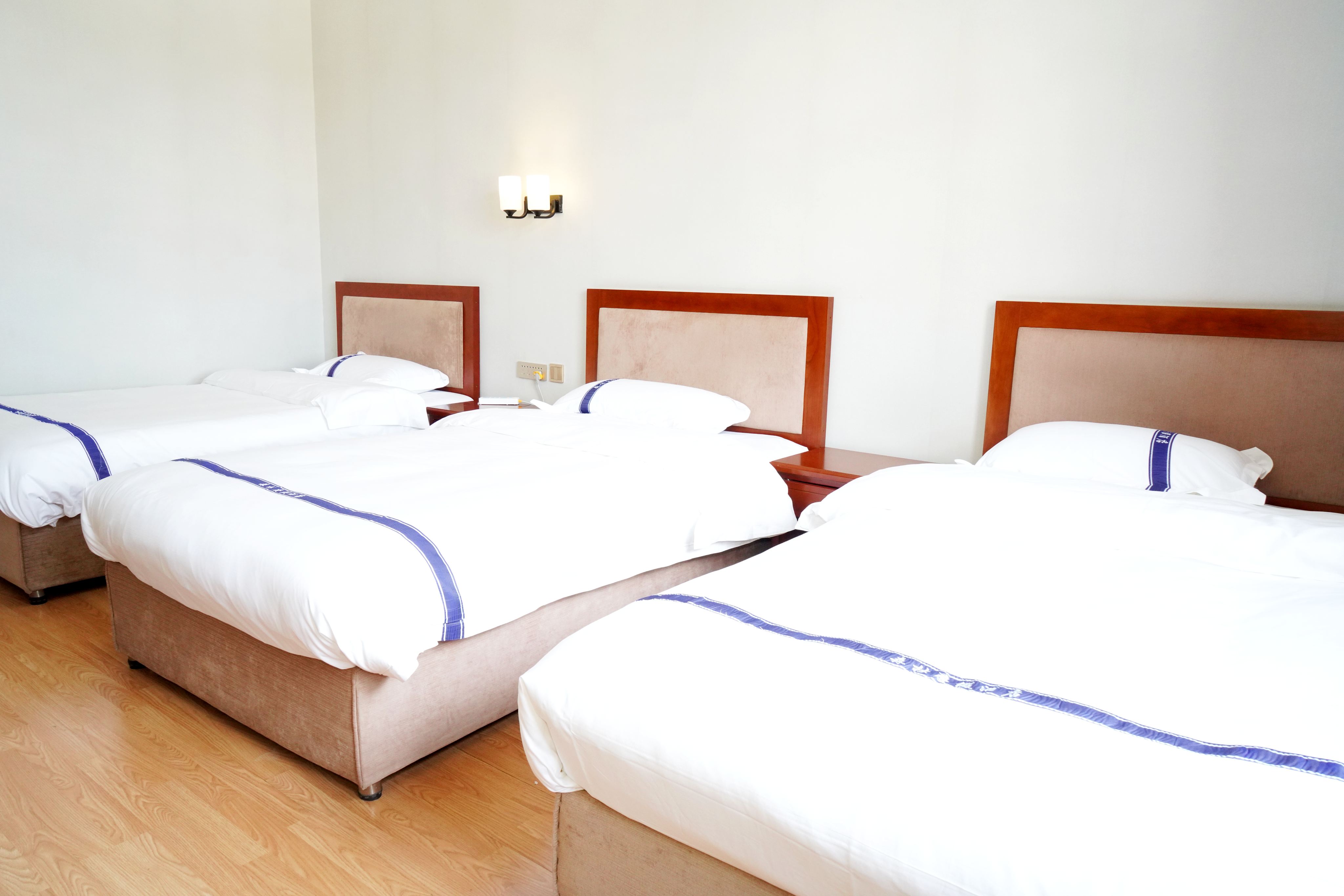 Forest Negative Oxygen Sunshine Triple Room (Air Conditioned)