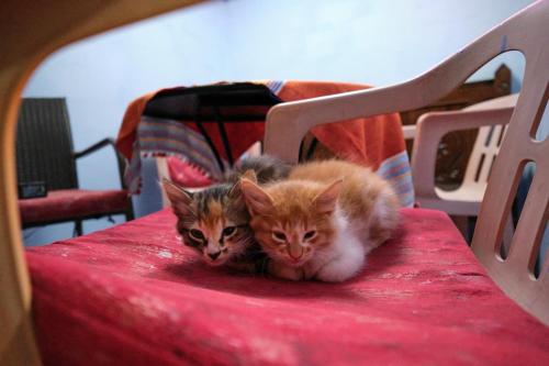 双人房（带独立浴室）