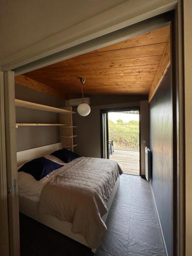 别墅（带独立泳池）