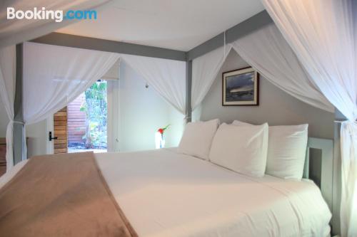 带园景一室公寓