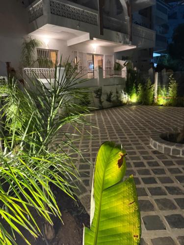 豪华园景双卧室公寓