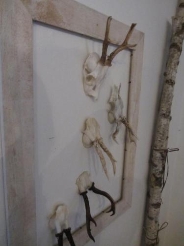 豪华三居室公寓