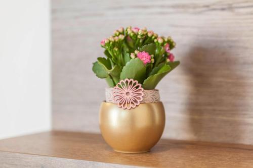 高级一卧室公寓