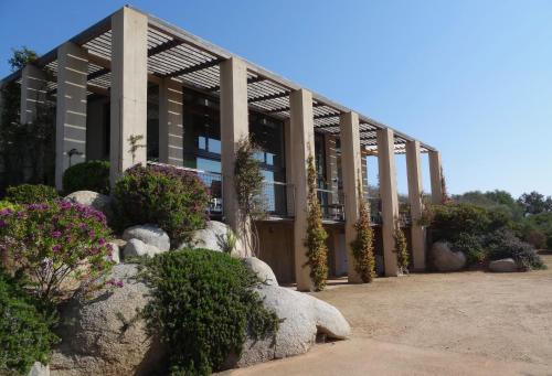 别墅（带独立泳池）