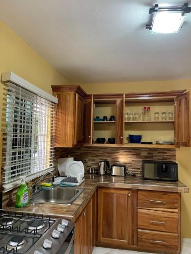 享有花园景致的公寓