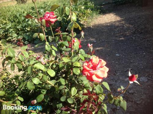 一室公寓错层式