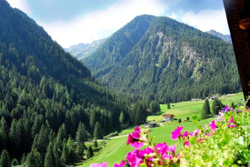 高级两卧室公寓