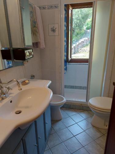 别墅（带独立泳池）