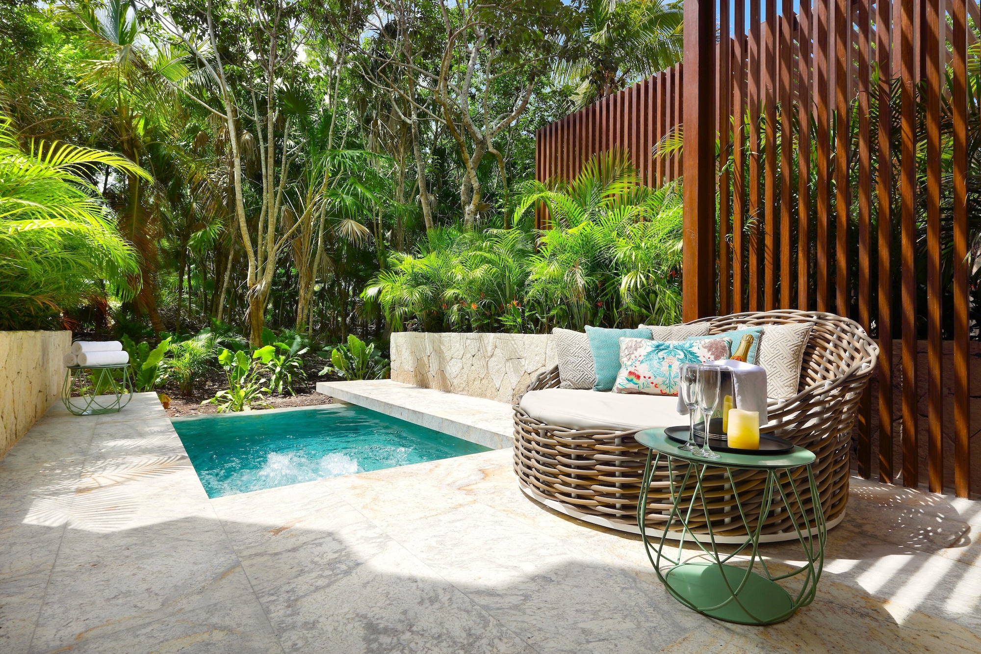 园景精致套房带私人泳池 禁烟