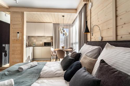 B6 带露台和山景的公寓