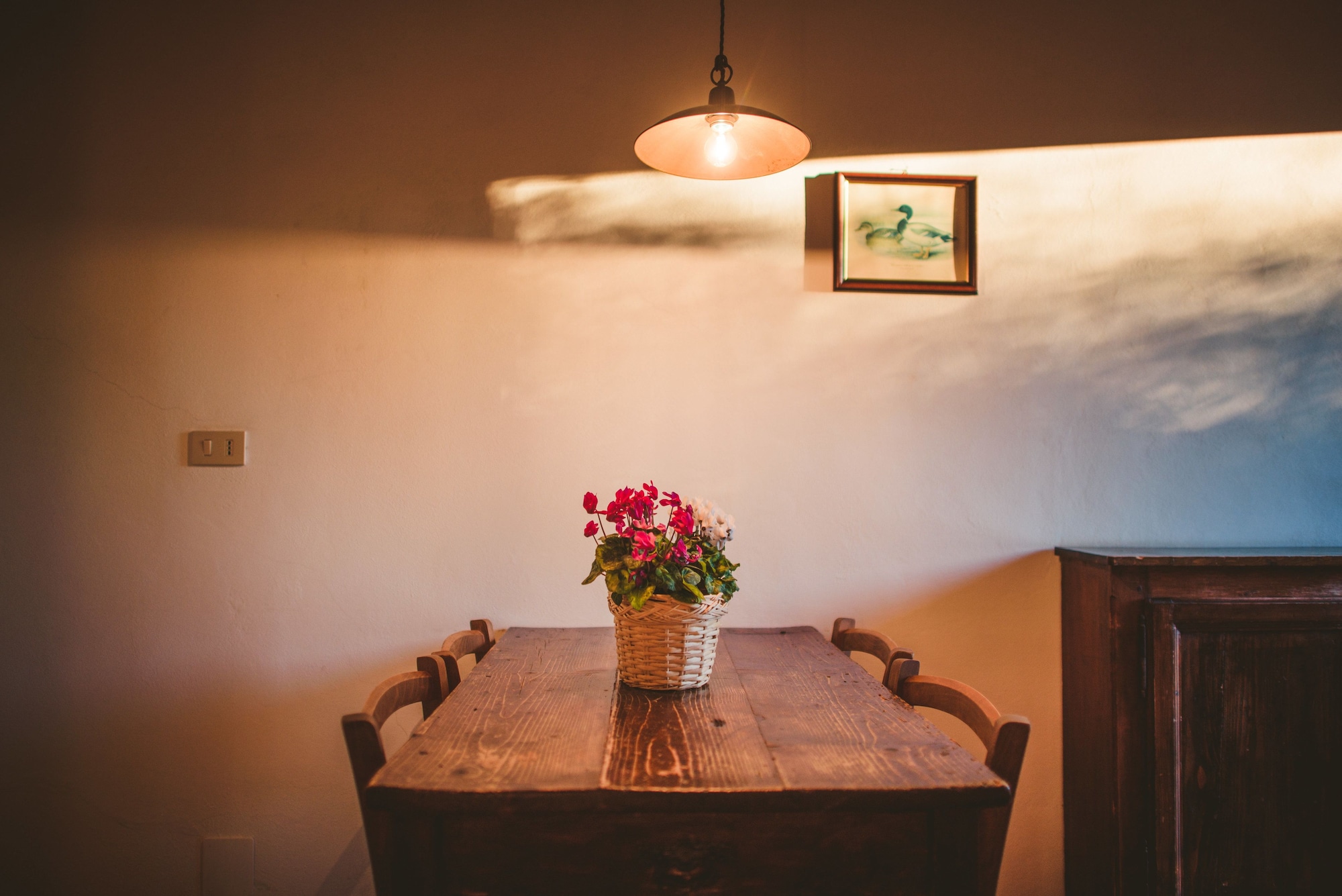 带葡萄园景观的一卧室公寓