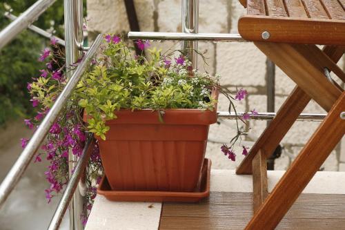 带阳台的海景双床间