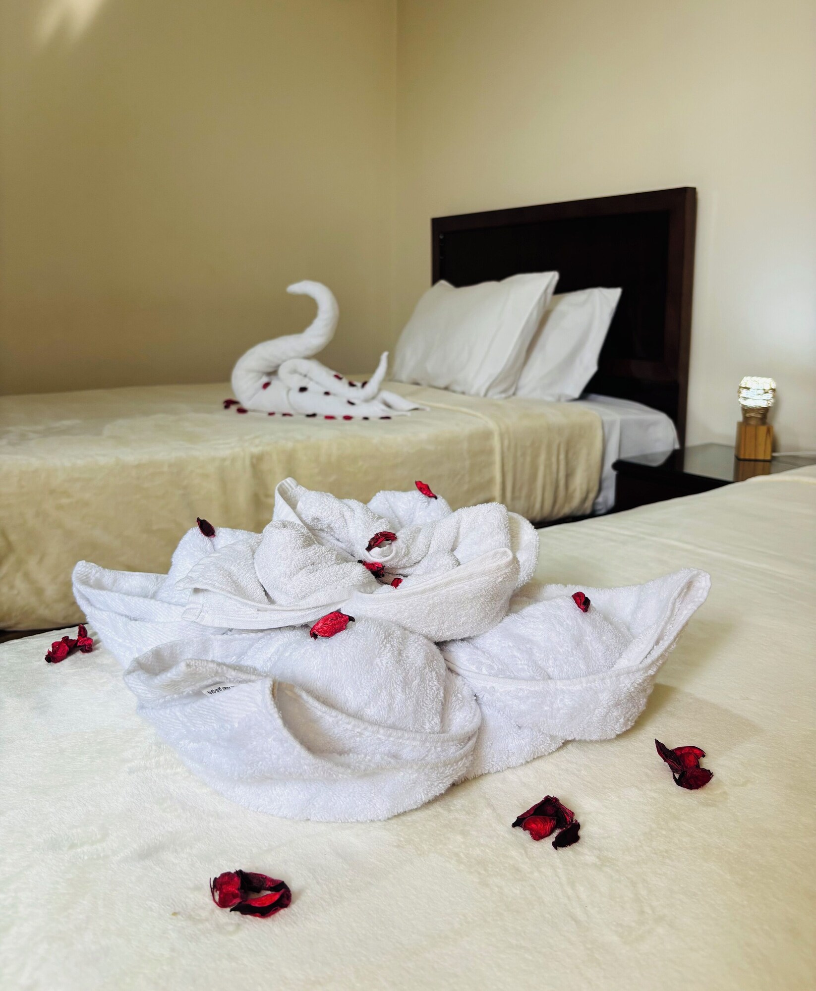 带城景的双床房