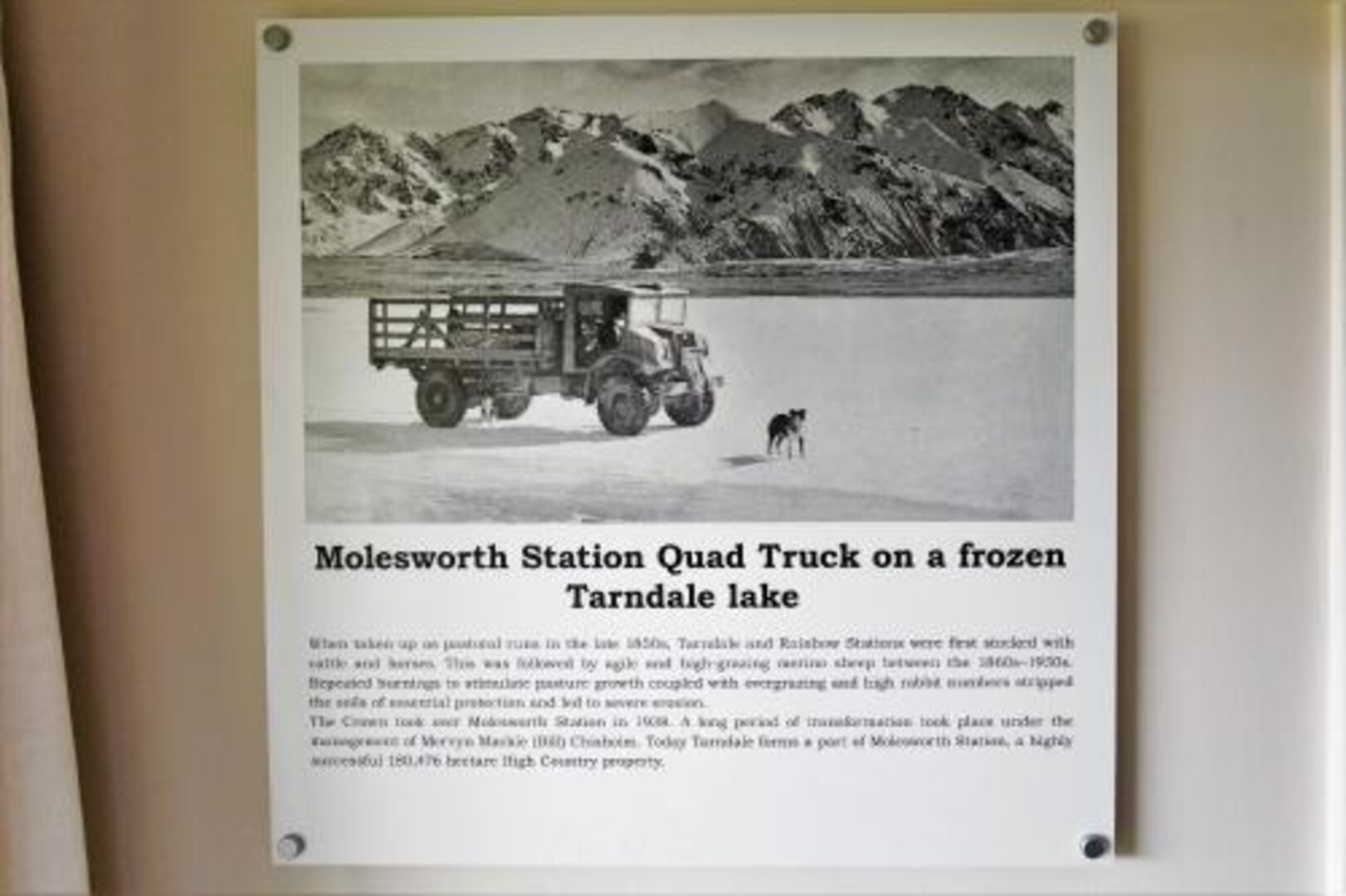 高級山景特大床間