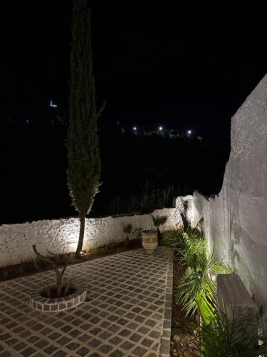 豪华园景双卧室公寓