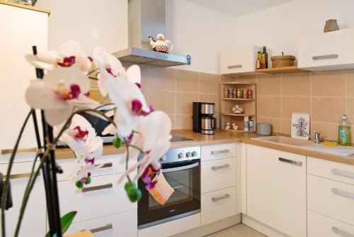 高级两卧室公寓