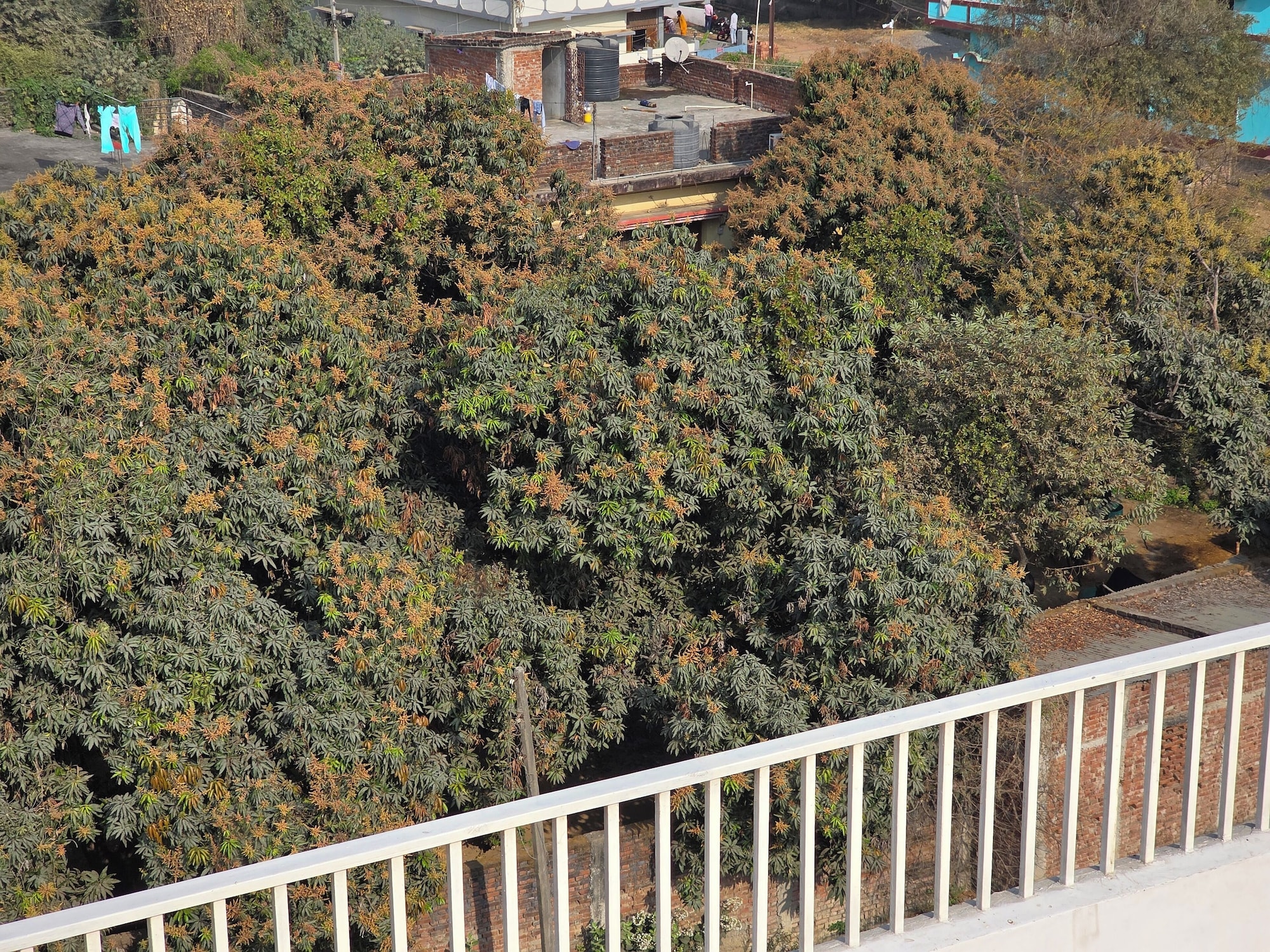 奢华公寓， 多张床， 阳台， 城市景观