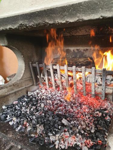 享有花园景致的公寓