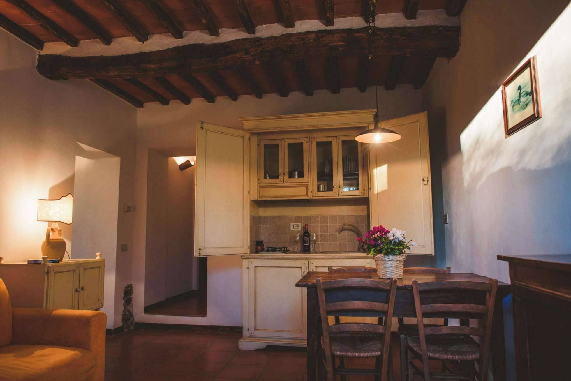 带葡萄园景观的一卧室公寓