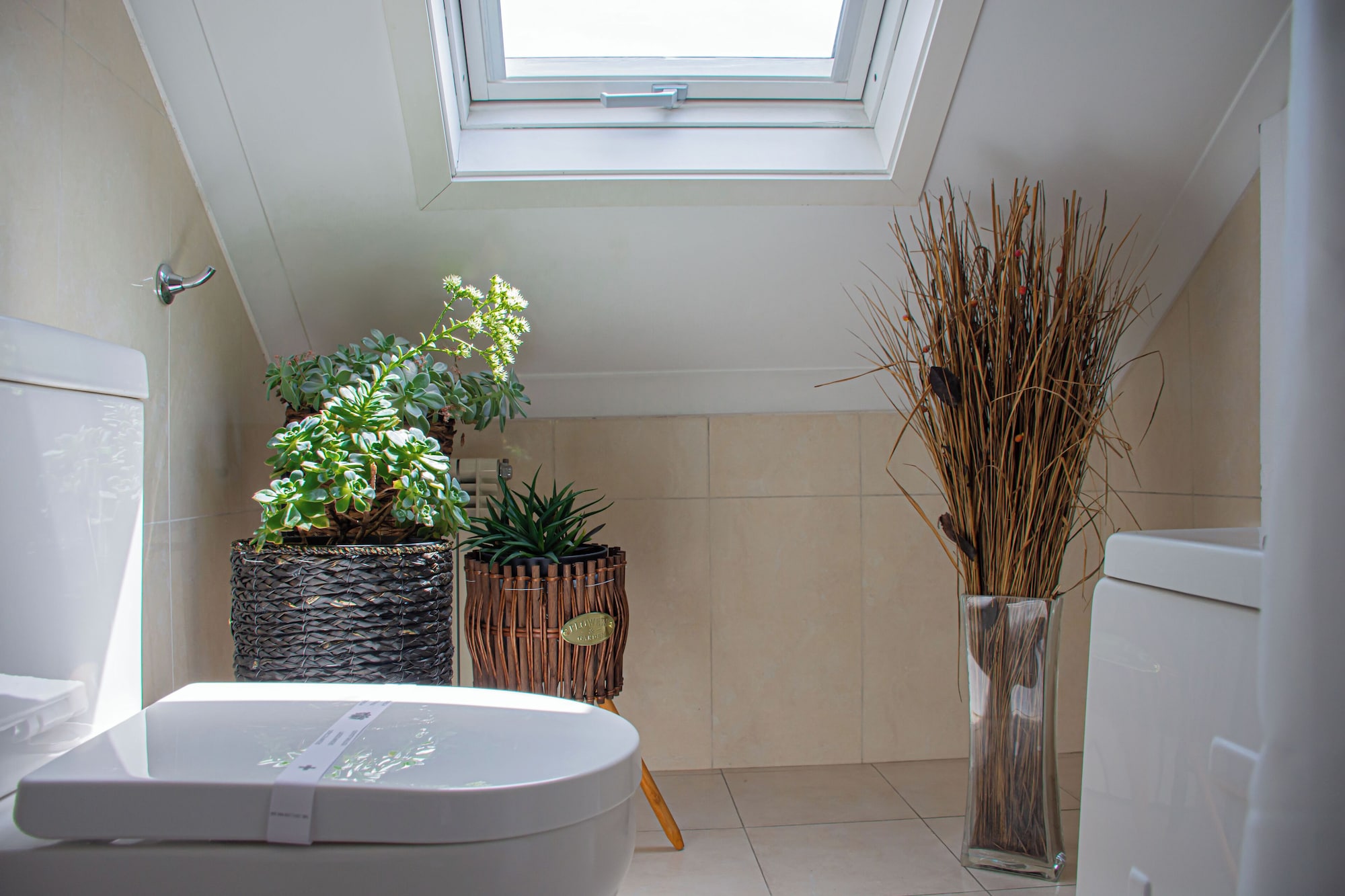 城景经典双床房