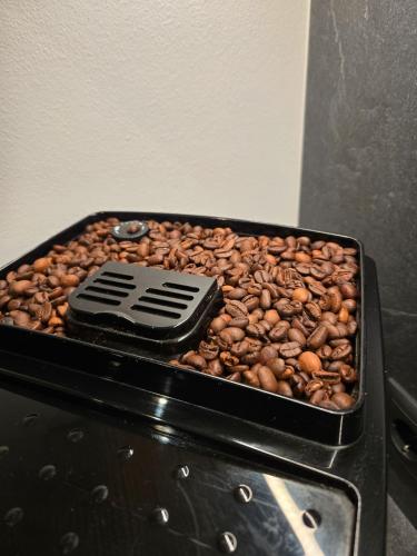 高级两卧室公寓