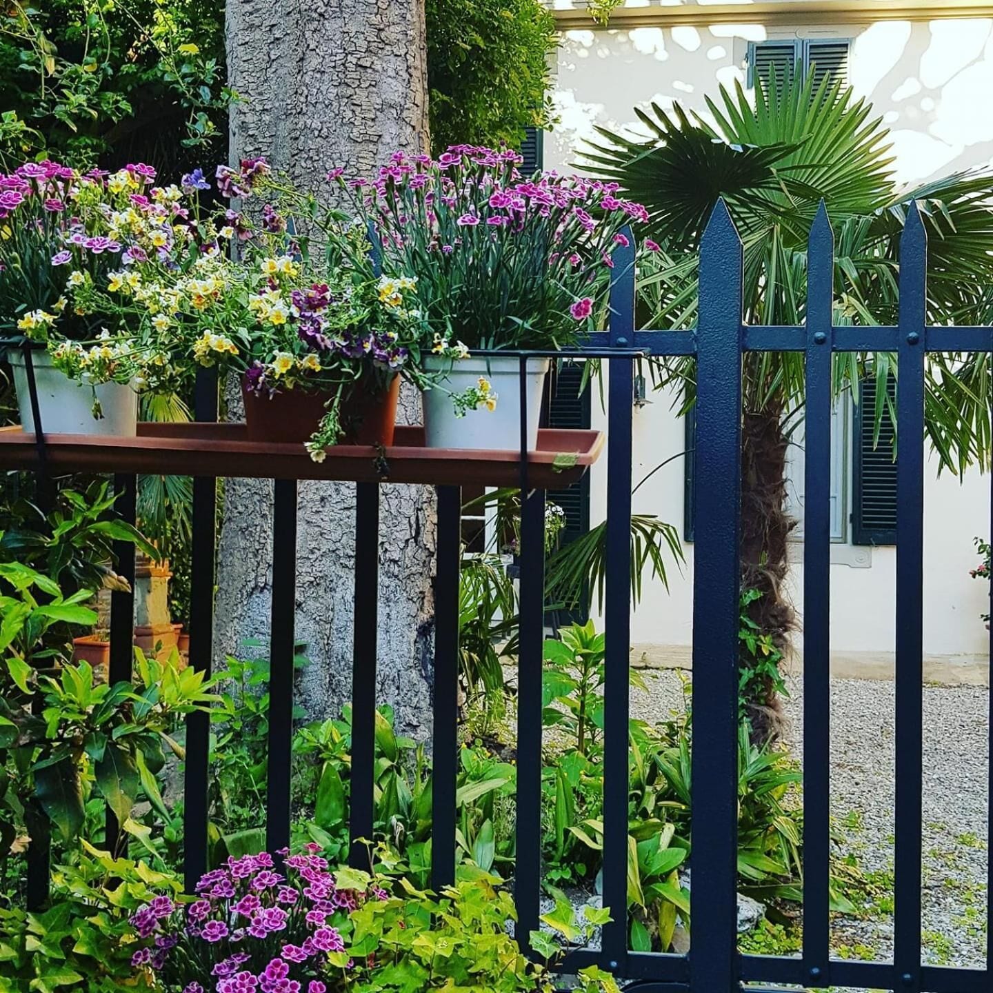 享有花园景致的公寓