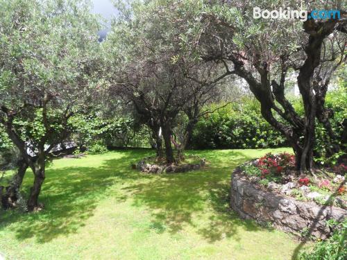 别墅（带独立泳池）