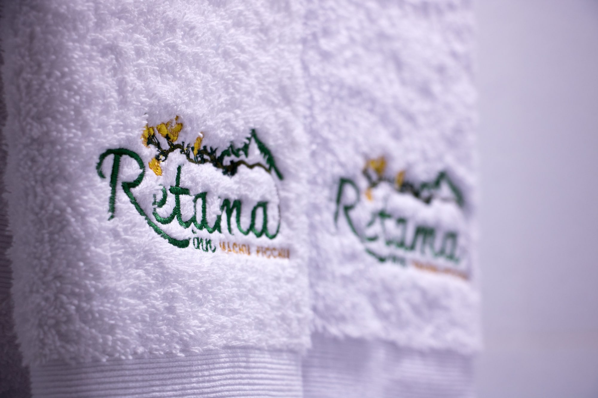 高级双人房， 2 张单人床