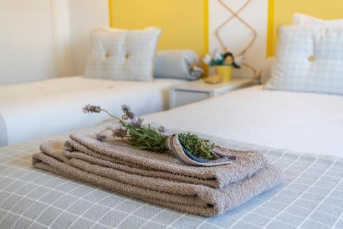 市景双床间 - 带外部私人浴室