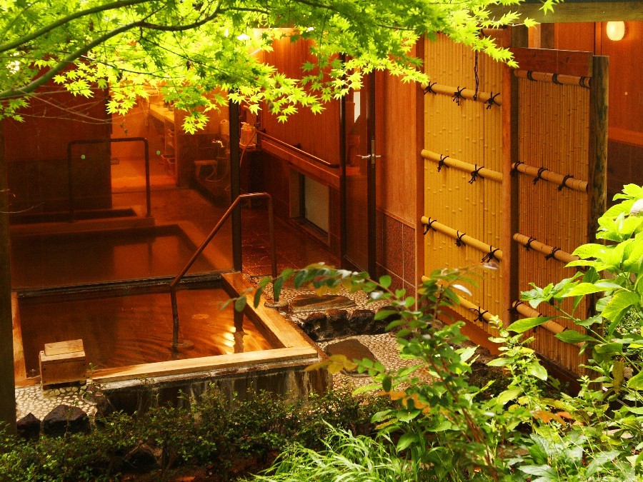 和洋式客房，无烟（和洋式客房【2张双人床+6个榻榻米的日式房间】）