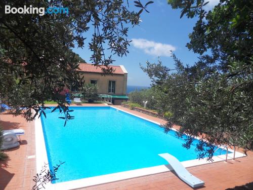 别墅（带独立泳池）