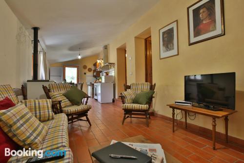 别墅（带独立泳池）