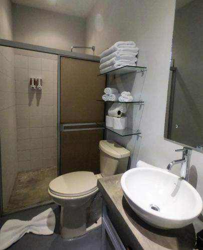 带园景一室公寓