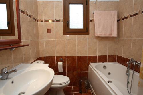 别墅（带独立泳池）