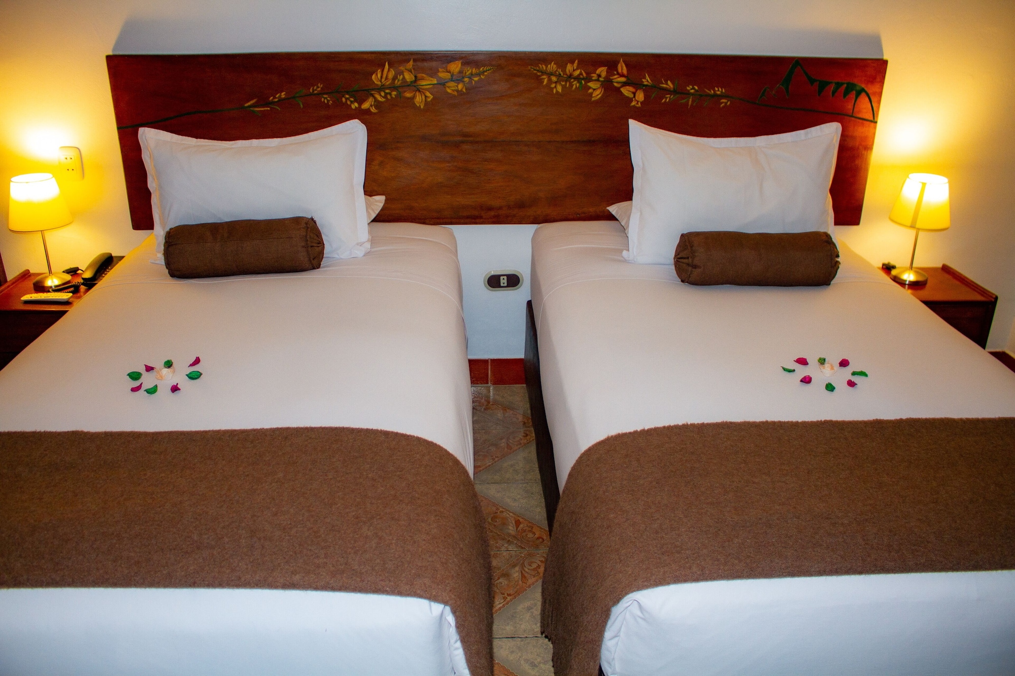 高级双人房， 2 张单人床