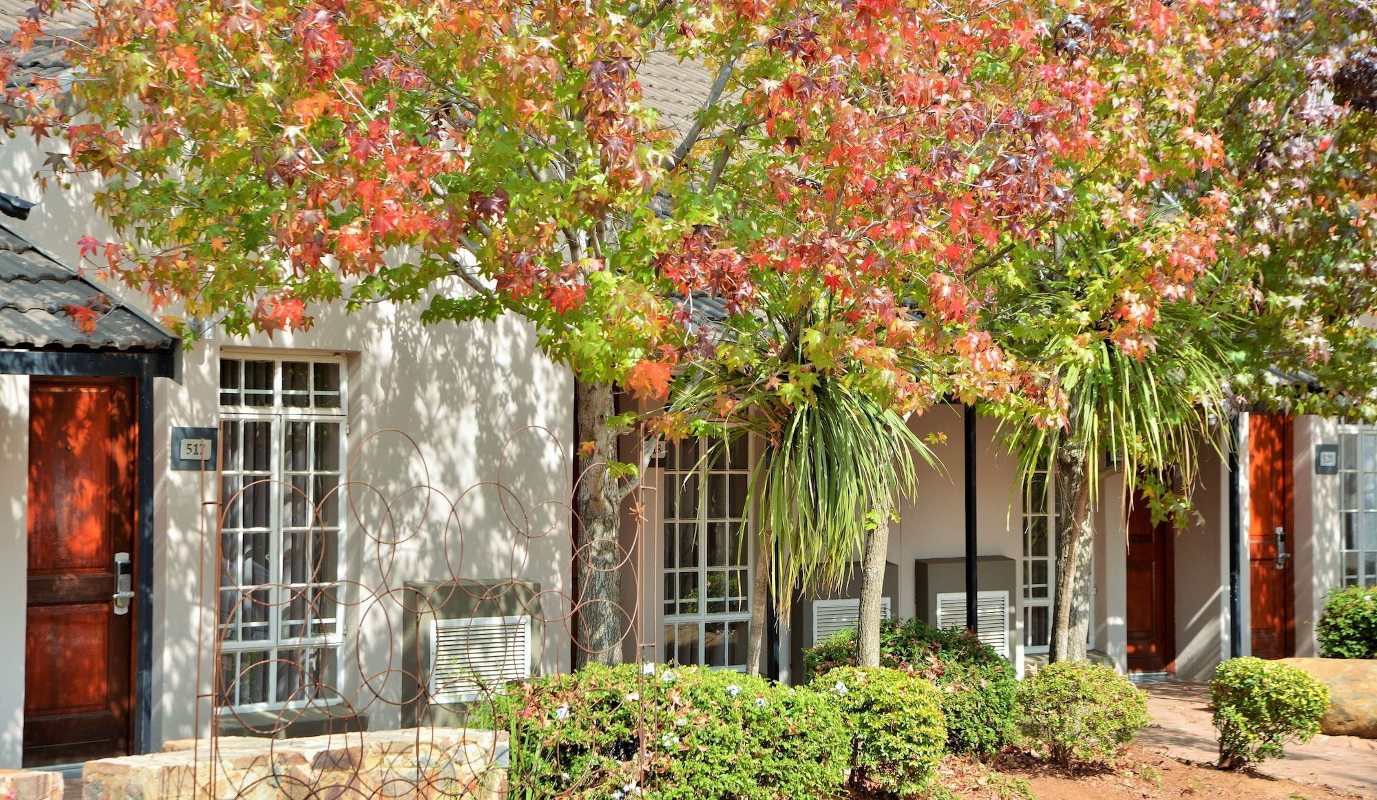 行政房， 1张特大床 （Silverbirch King 4*）