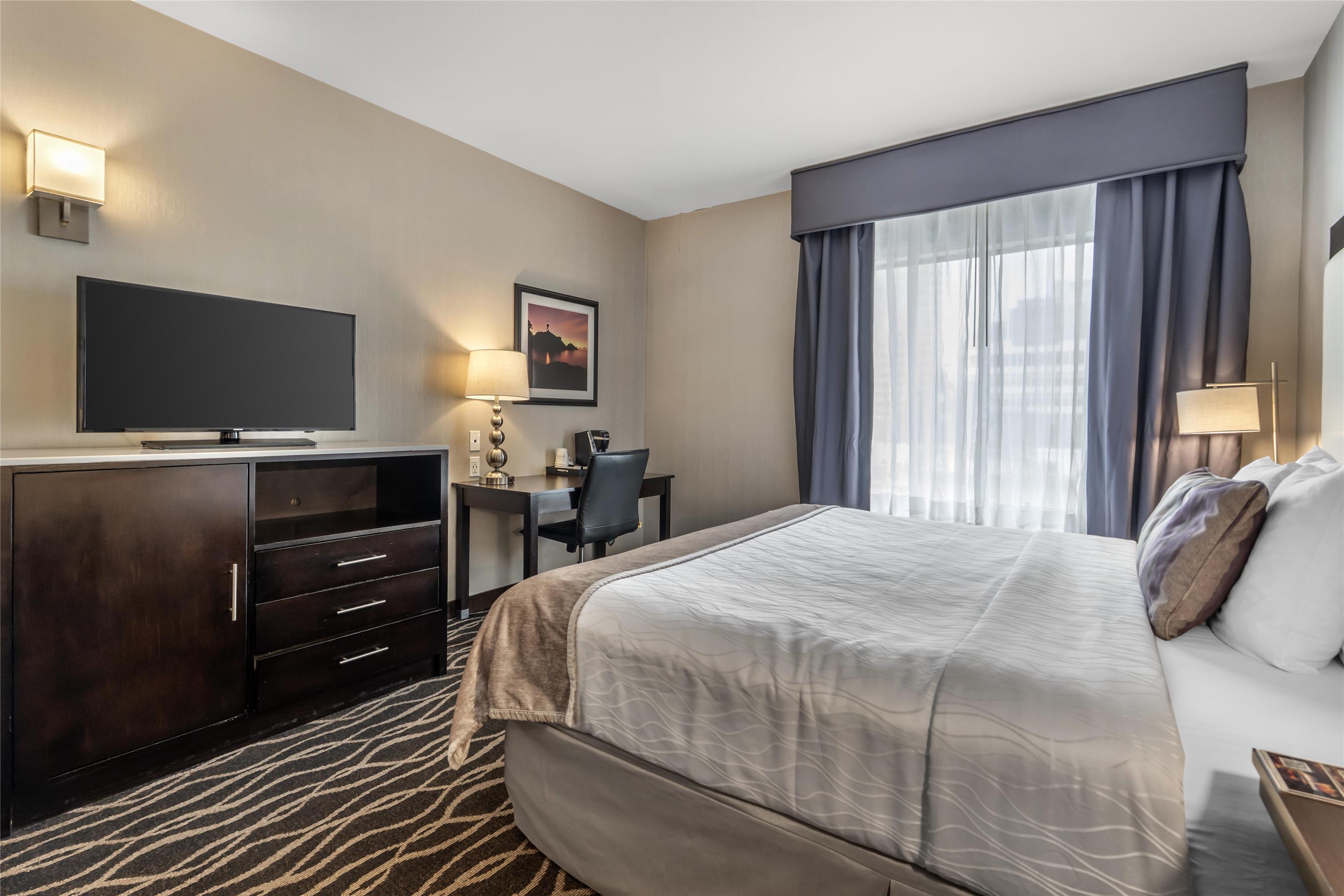 客房 - 带1张特大床 - 带高速互联网接入，吹风机，咖啡机，熨斗和熨衣板 - 禁烟