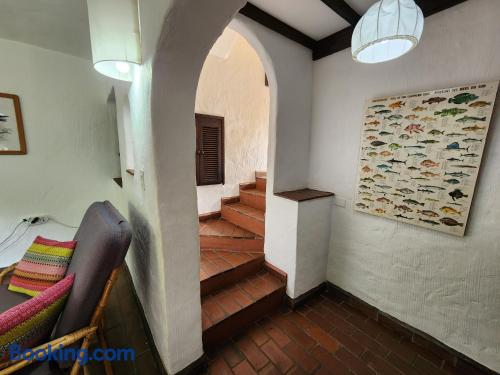 享有花园景致的公寓