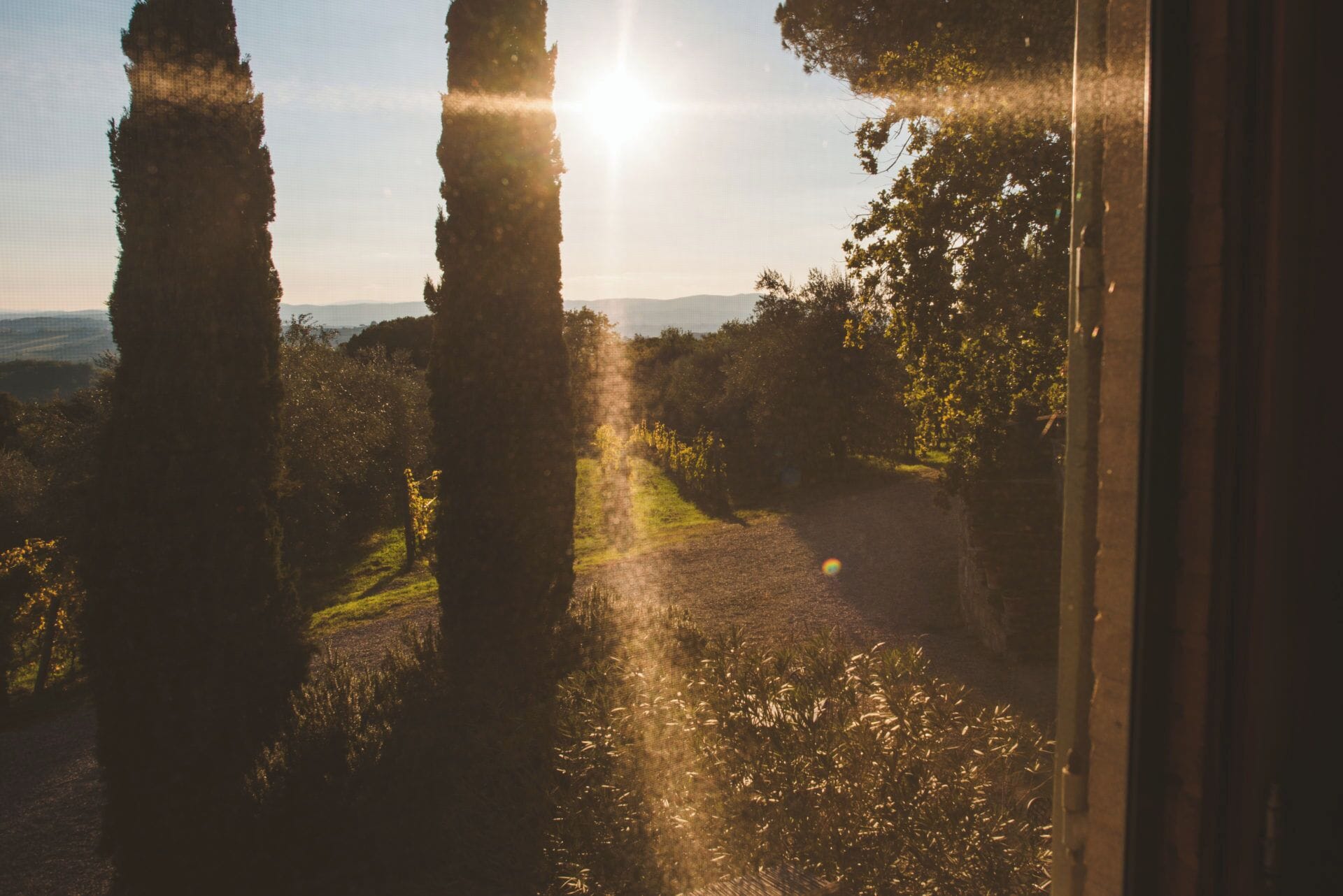 套房， 2 间卧室， 葡萄庄园景观