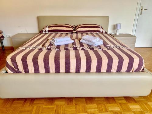 带阳台的两卧室公寓