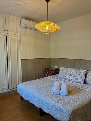 豪华园景双卧室公寓