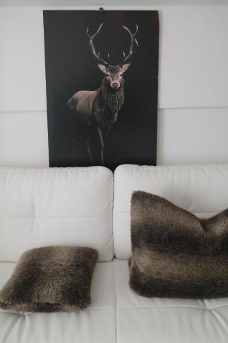 一卧室公寓（带阳台）