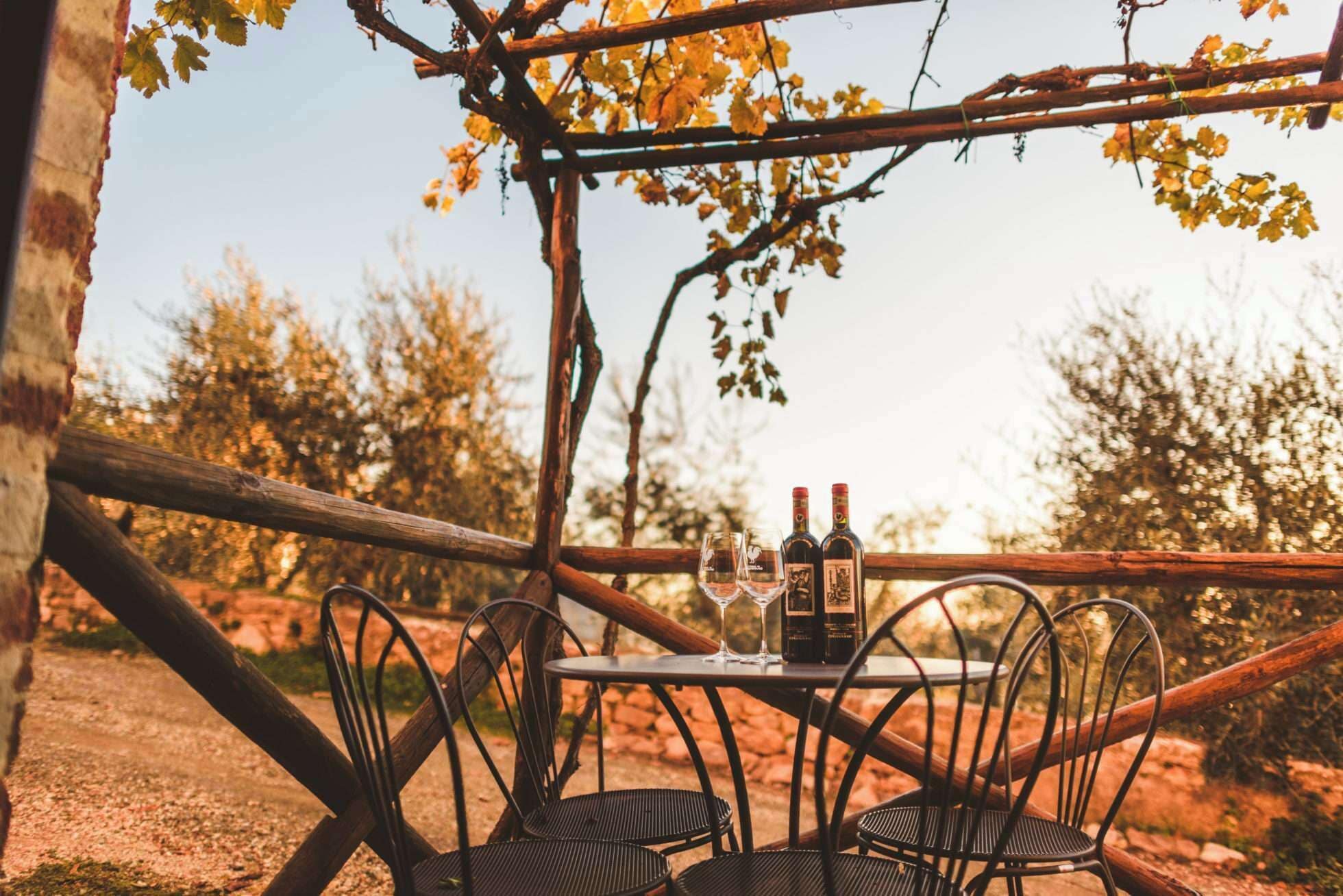 带葡萄园景观的一卧室公寓