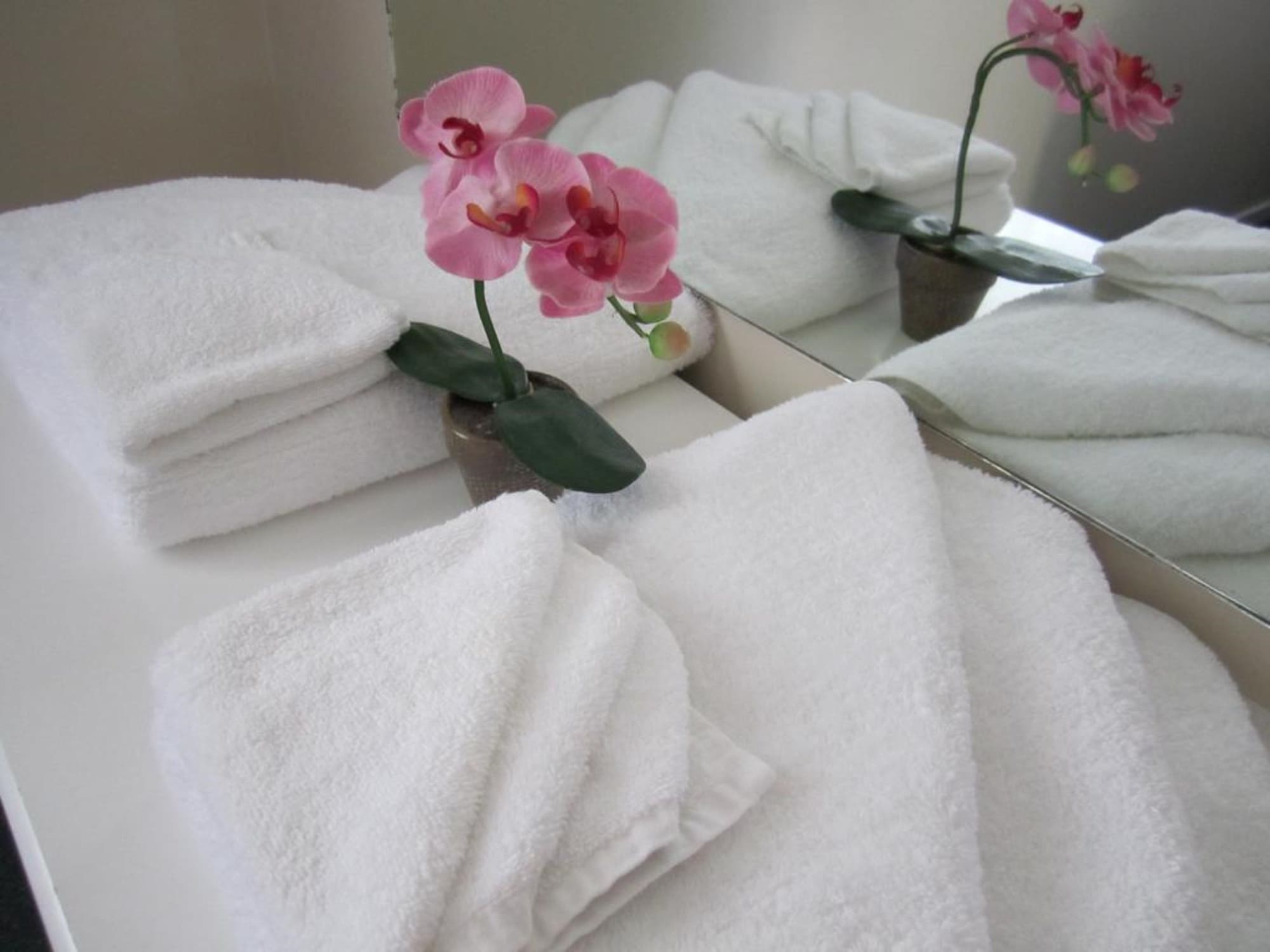 标准一室，无烟，带厨房（一室spa浴缸单元）