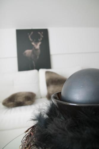 一卧室公寓（带阳台）