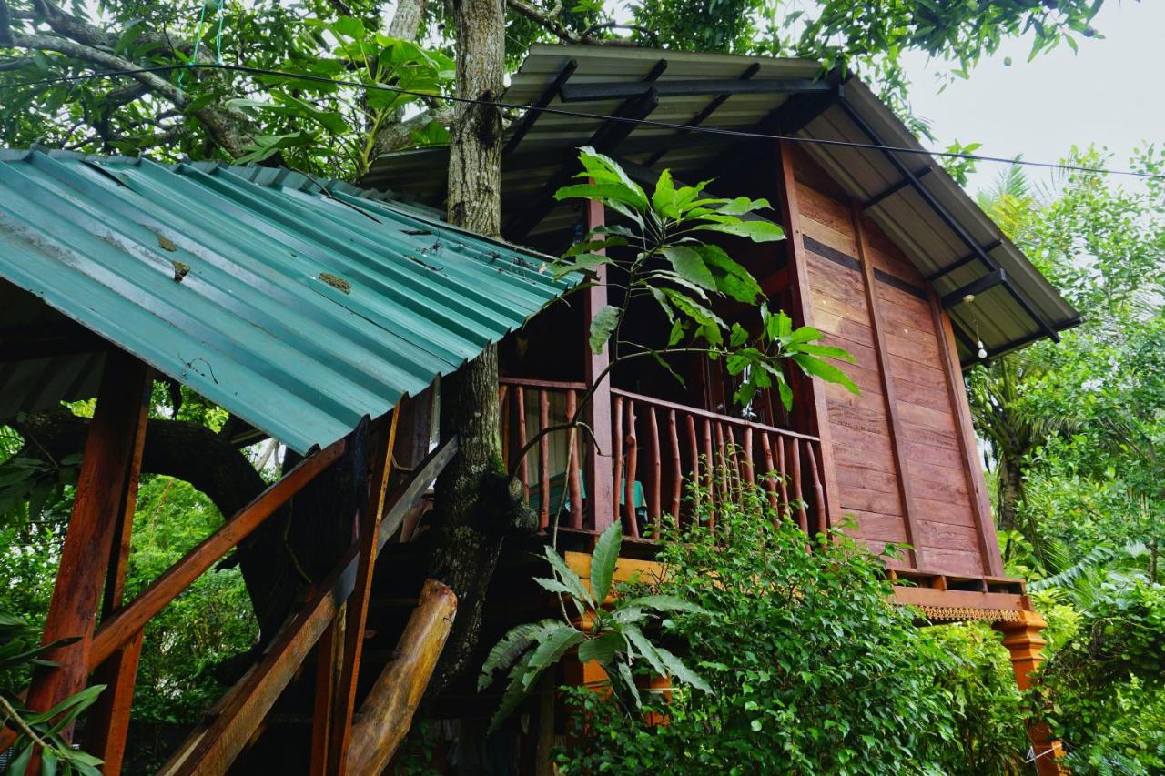 家庭房（带浴室）